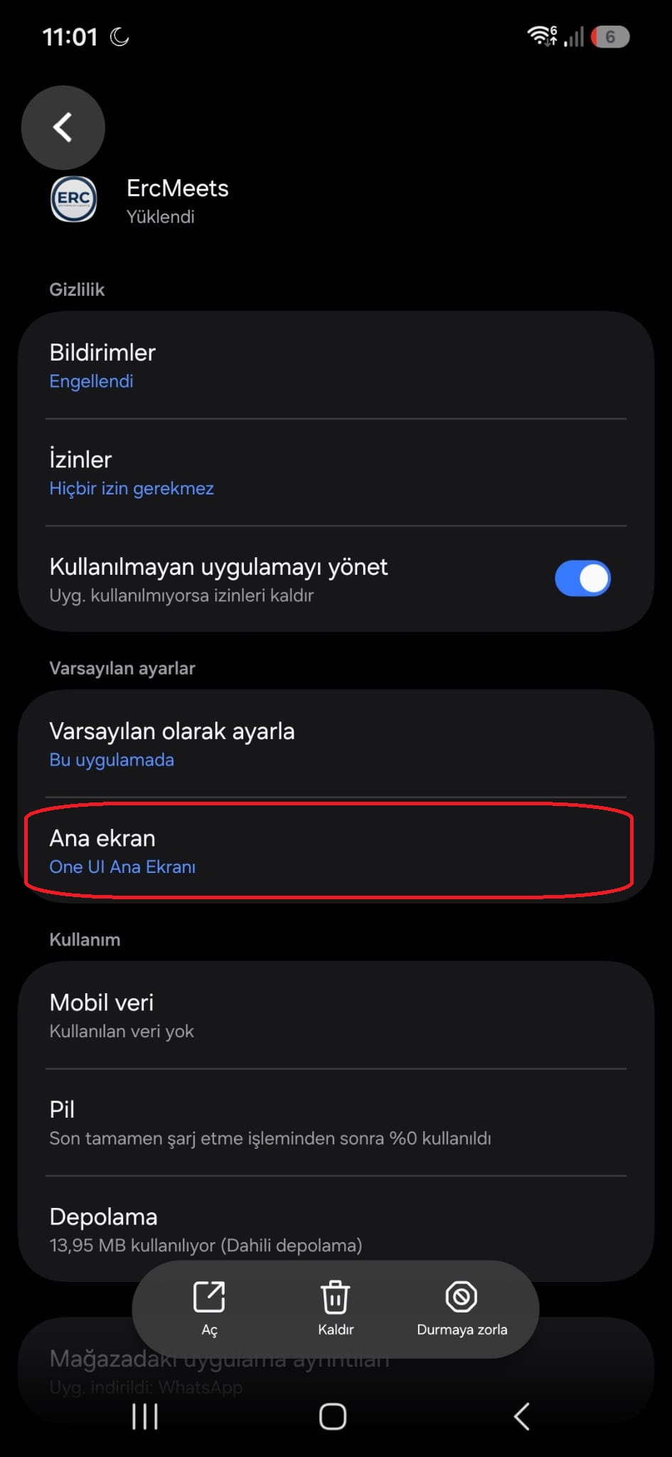 Android Ayarları - Ana Ekran Seçimi